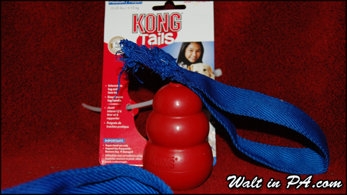 kong wild tails