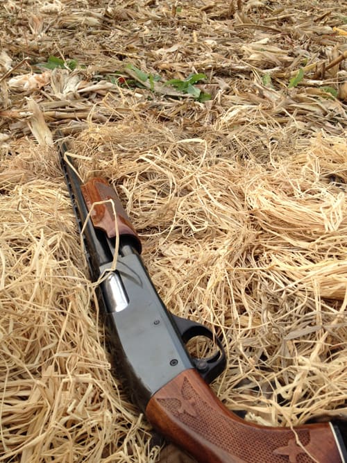 My First Try at Dove Hunting Walt In PA