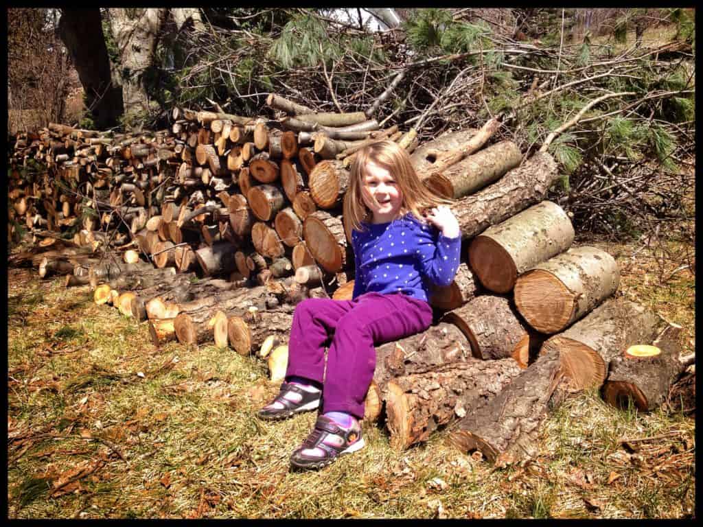 Winter Cleanup - Wood Pile