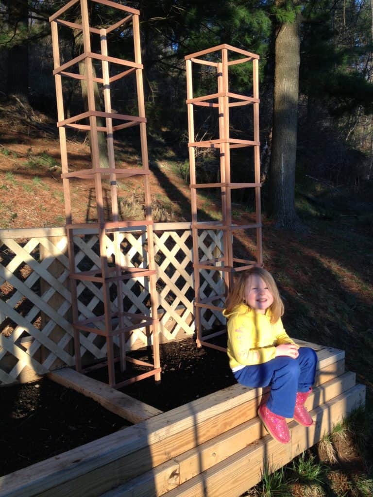 Wood Plant Cages