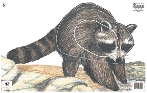 NFAA Raccoon Archery Target