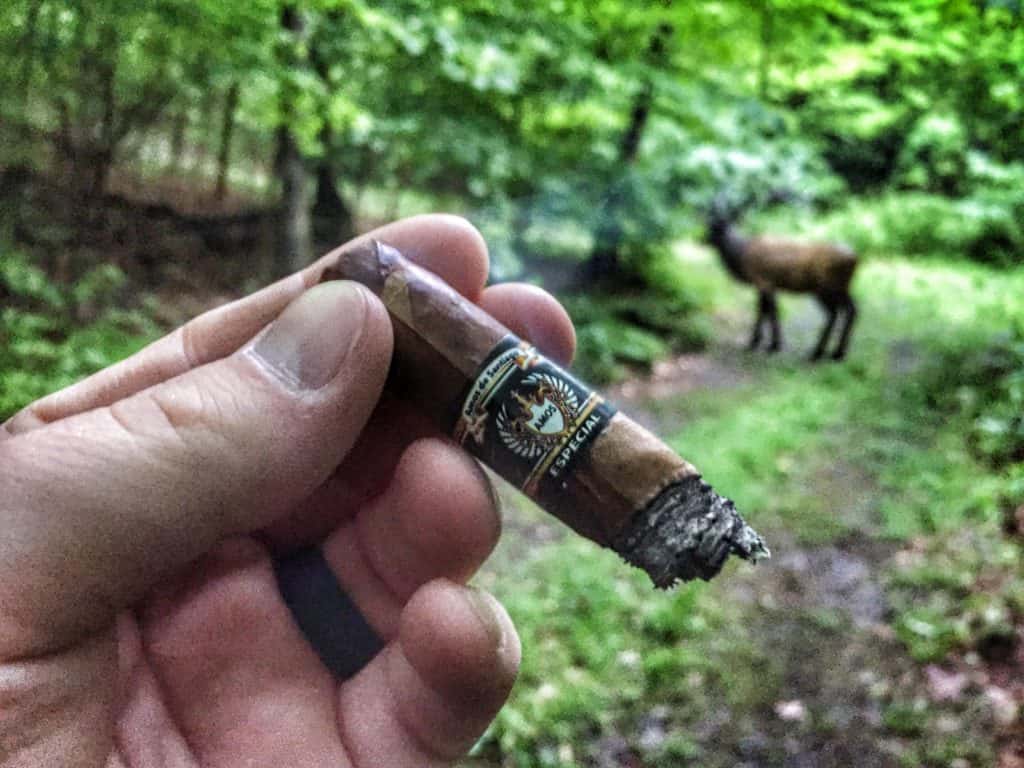 Elk-cant-reists-a-good-cigar