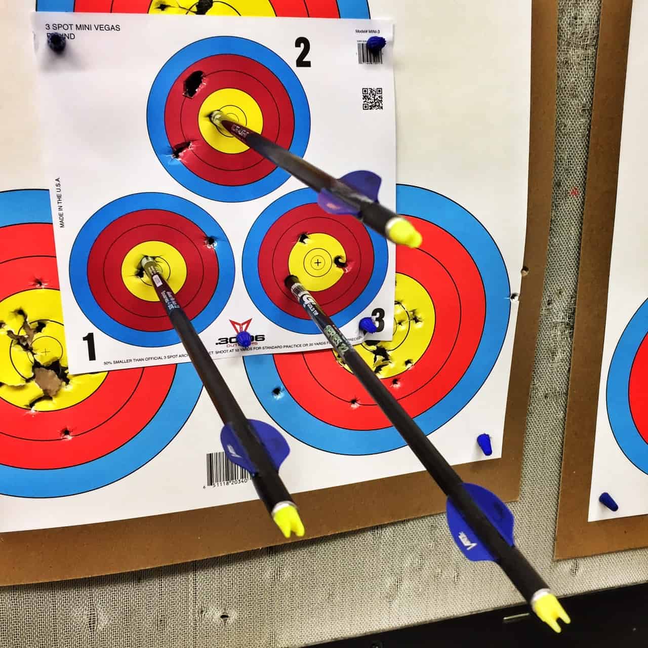 Archery Practice - Mini 3 Spot Vegas
