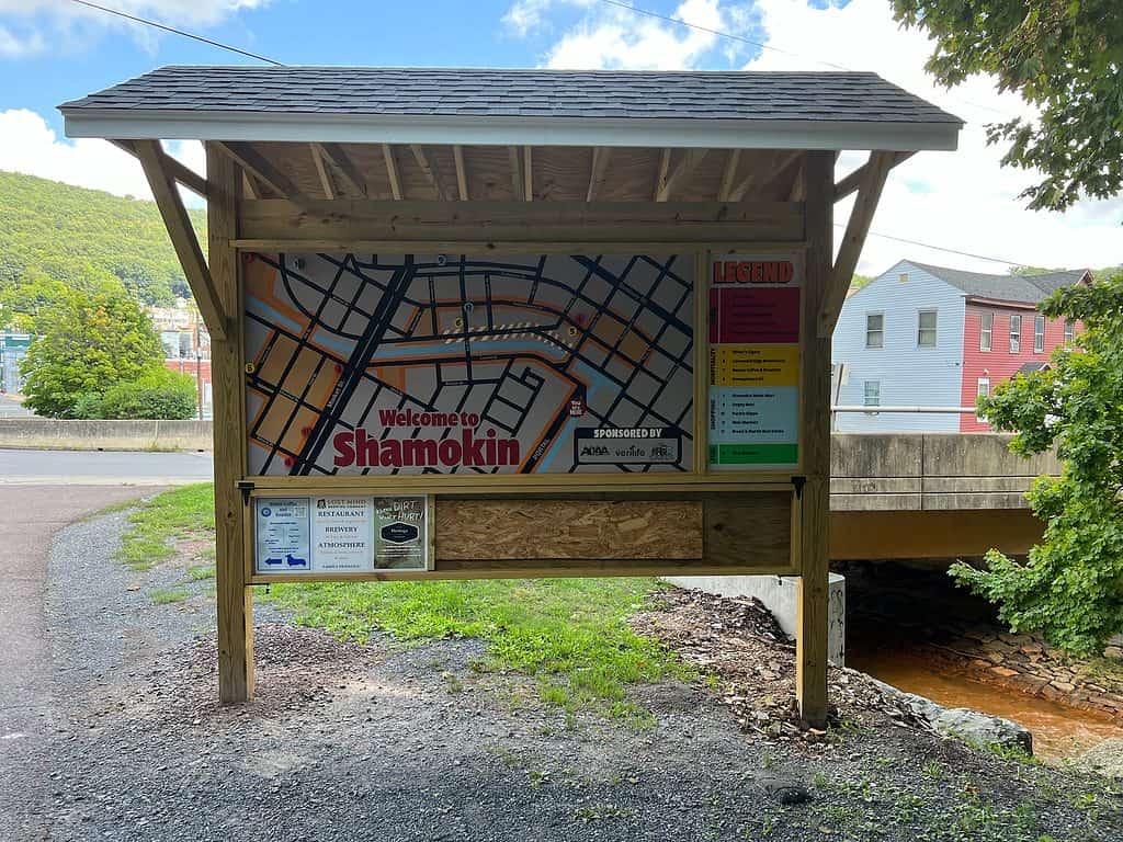 Bamse Coffee Shop - Shamokin Sign